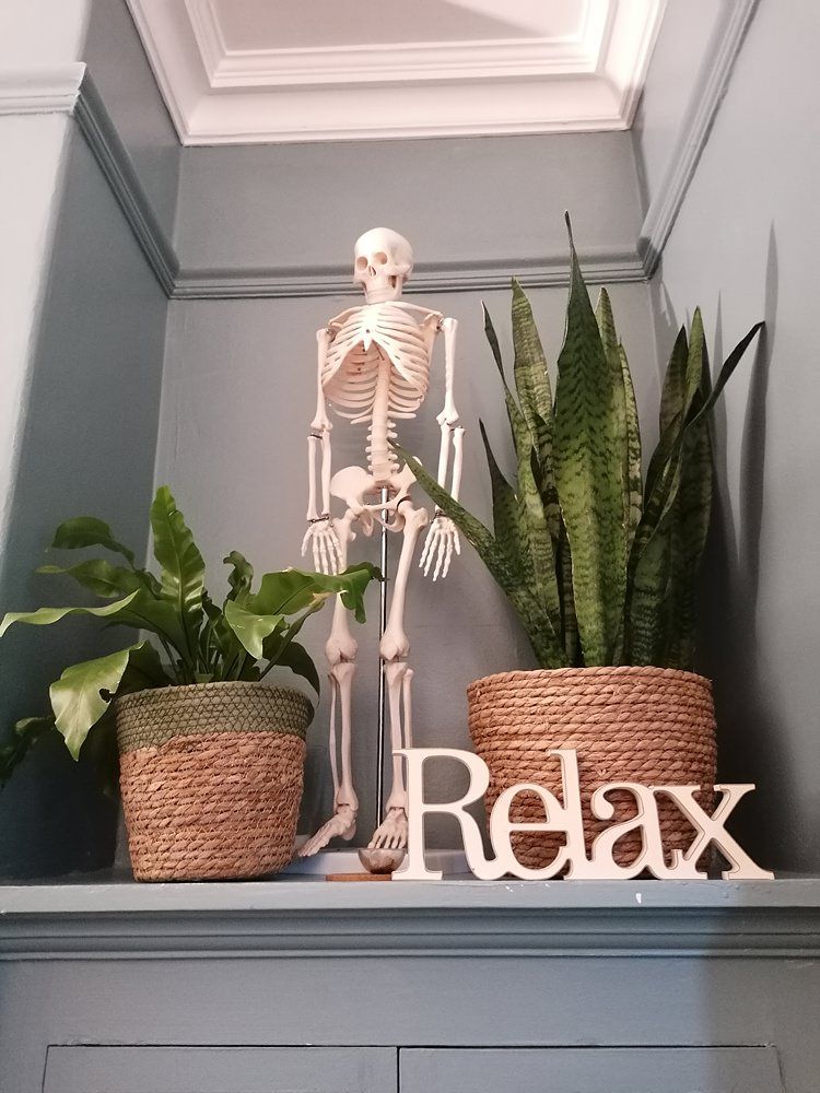 Relax small skeleton Boney Maloney Oxford Street WEB
